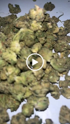 Layla H. customer review