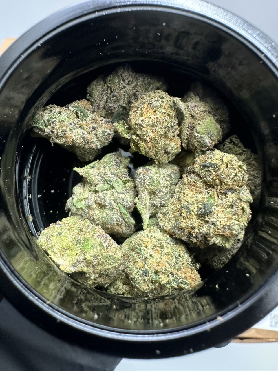NEW HITZ FLOWER