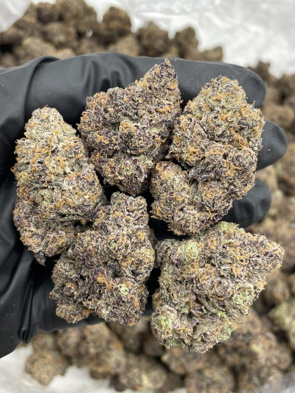 Zkittle M&M’s indoors